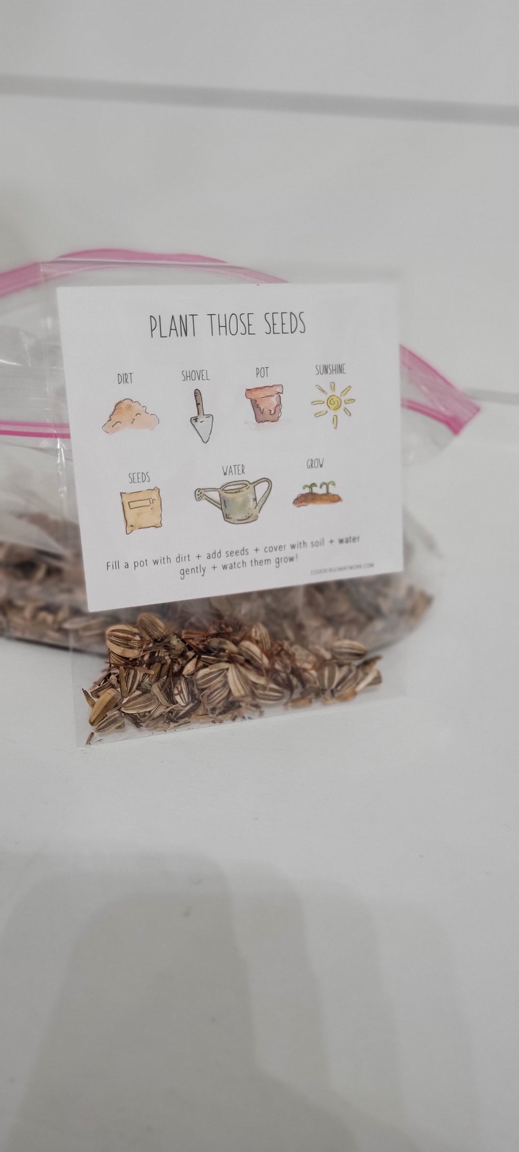 Mixed Flower Seed Pack