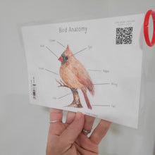 Load image into Gallery viewer, Laminated Bird Guide - Front Yard Birds
