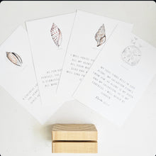 Load image into Gallery viewer, Scripture Verse Cards - Seashell Collection
