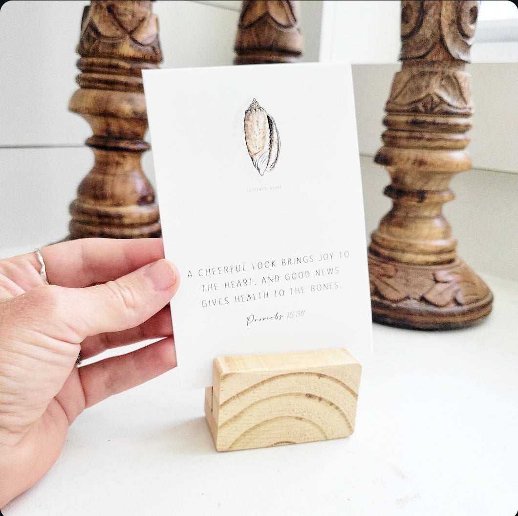 Scripture Verse Cards - Seashell Collection
