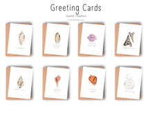 Load image into Gallery viewer, Seashell Greeting Cards
