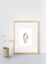 Load image into Gallery viewer, Prints - Seashell Collection
