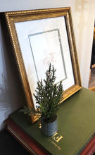 Load image into Gallery viewer, Little Lamb
