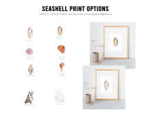 Load image into Gallery viewer, Seashell Prints - Seashell Collection
