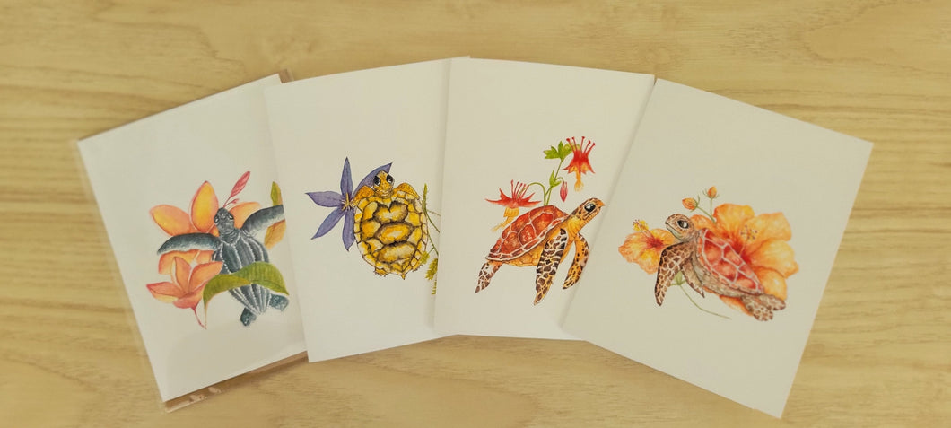 Variety Pack 4 Turtle Greeting Cards