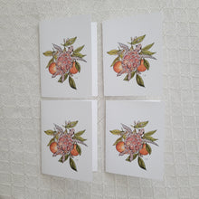 Load image into Gallery viewer, Turtles &amp; Oranges Card
