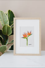 Load image into Gallery viewer, Bird of Paradise Flower Print
